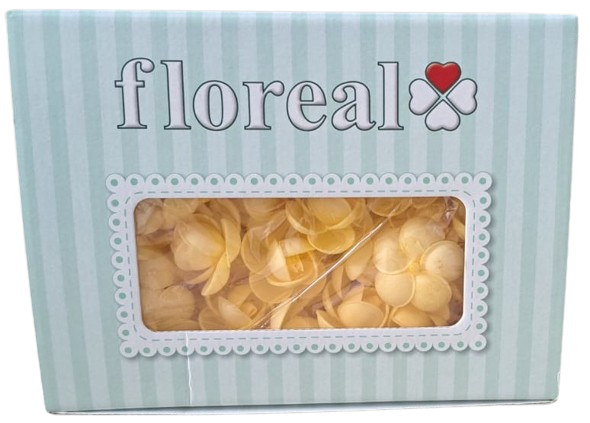 Rose di ostia Gialle pz 100