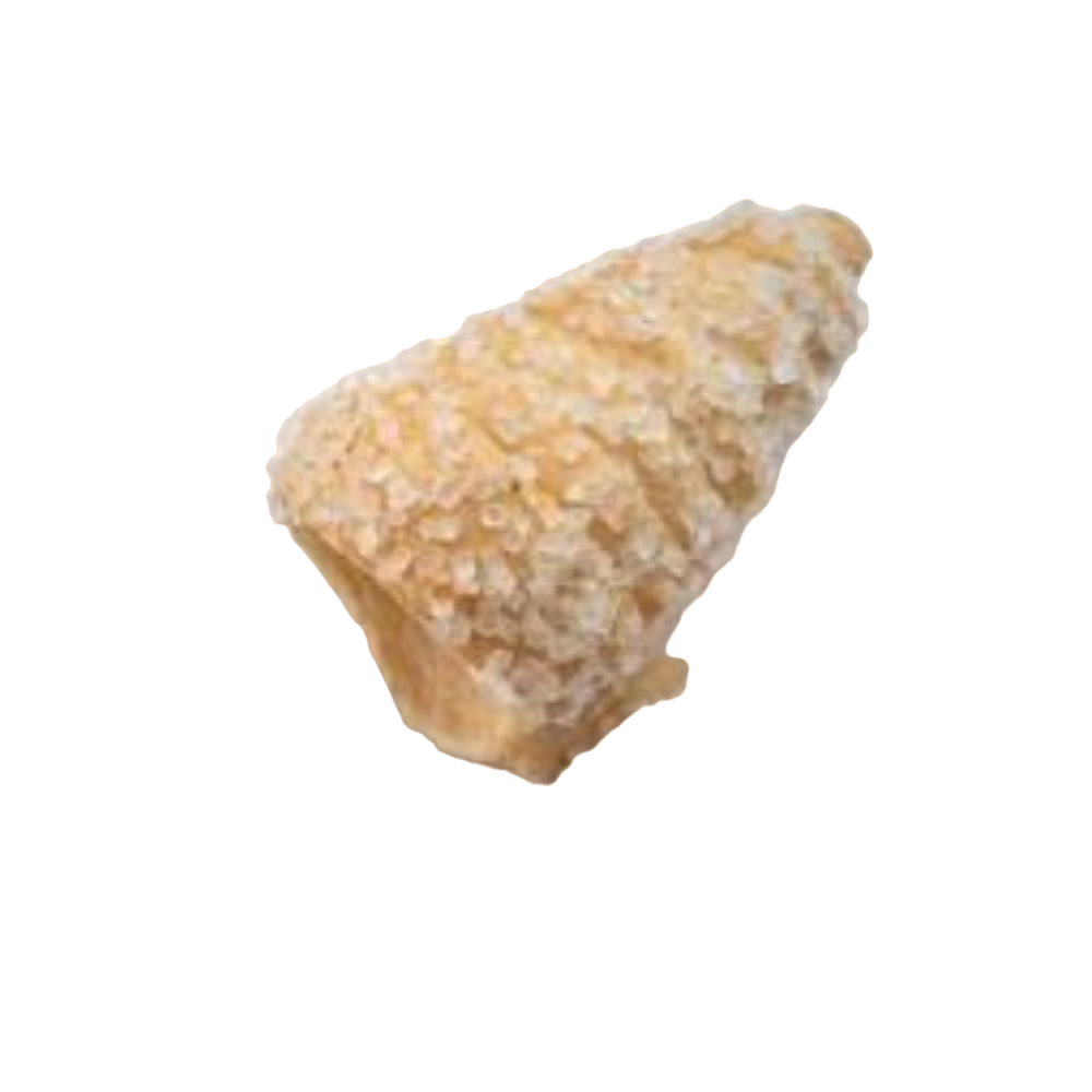 Cannoli Mignon Conici Cremitalia 120 pz.