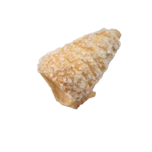 Cannoli Mignon Conici Cremitalia 120 pz.